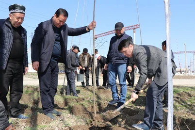 Ehtiyojmand aholiga minglab koʻchatlar bepul yetkazib berilmoqda