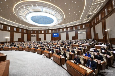 Senat qoʻmitalariga raislar tayinlandi