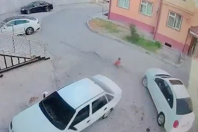 3 ёшли болани босиб кетган аёлга қўлланилган жазо ҳаққонийми?
