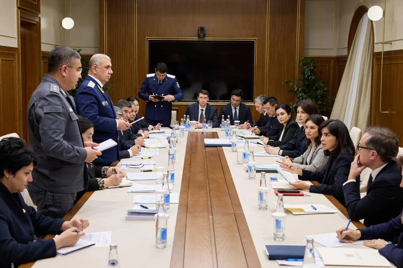 Саида Мирзиёева масъулларни хулоса чиқаришга чақирди