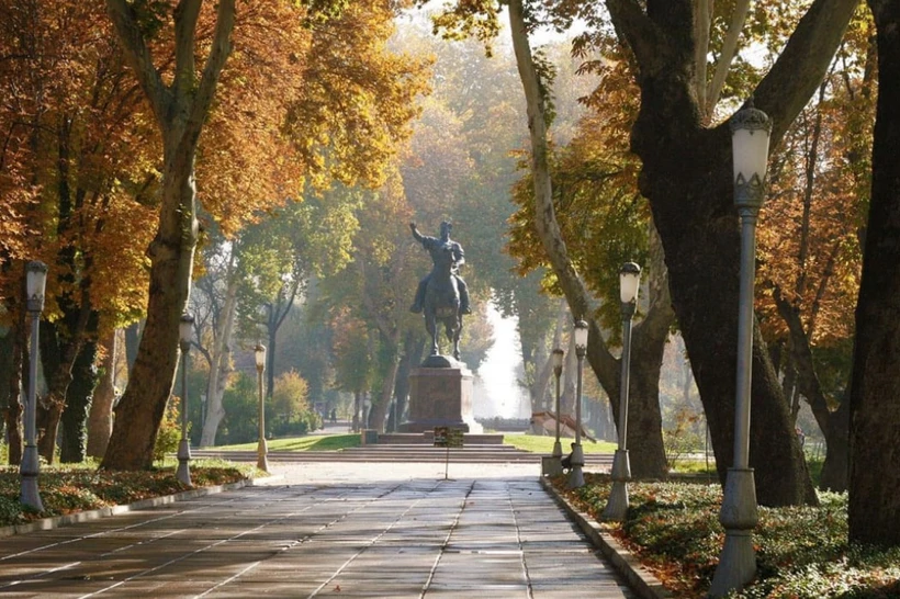 6 ойдан кейин ҳар бир туманда 5 км.ли сояли кўчалар бўлади