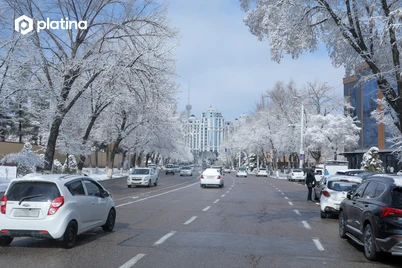 Энергетик чекловлар кутиляпти – вазирлик