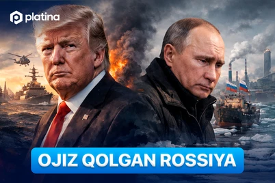 Ожиз қолган Россия, АҚШда иммиграция муаммоси