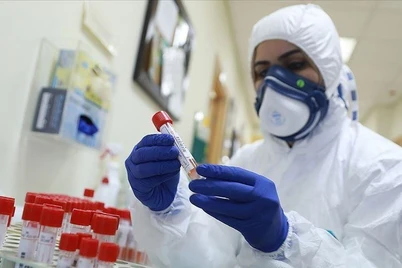 Koronavirus asorati - boʻgʻimlar yemirilishi koʻp uchramoqda