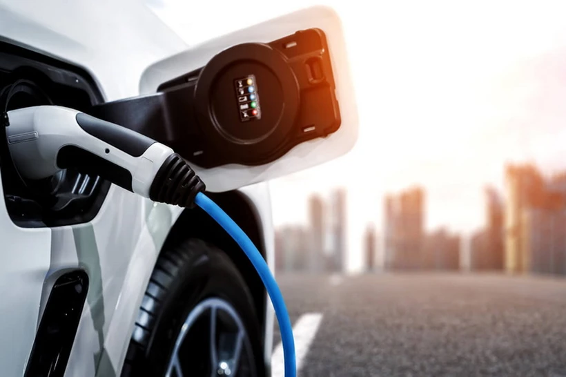 "Tok bor" MChJ Oʻzbekiston bozorida ustun mavqega ega deb topildi